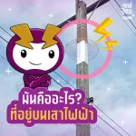 อะไรอยู่บนเสาไฟ