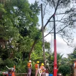 PEA บริหารจัดการระบบจำหน่ายไฟฟ้าในพื้นที่ริมแม่น้ำด้วยเรือเครนเพื่อเพิ่มประสิทธิภาพการบริการ