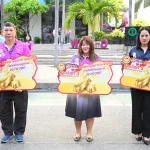 กาชาด