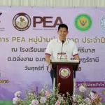 ช่อสะอาด