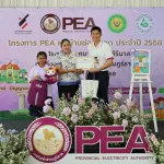 ช่อสะอาด