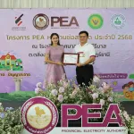 ช่อสะอาด