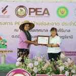 ช่อสะอาด