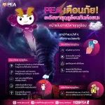 PEA เตือนภัย! ระวังพายุฤดูร้อน☀️ เรามีคำแนะนำดีๆ เพื่อความปลอดภัยในหน้าแล้ง ที่อาจมีพายุฤดูร้อน💜
