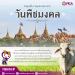 วันพืชมงคล