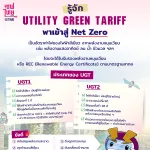 Utility Green Tariff