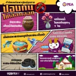 กำจัดแหล่งเพาะพันธุ์ยุงลาย