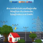 3การไฟฟ้า