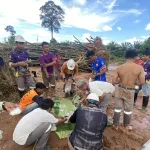 PEA ซ่อมแซมระบบจำหน่ายในพื้นที่ที่ได้รับผลกระทบจากพายุโซนร้อน “บัวลอย”