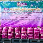 PEA มอบถุงยังชีพให้ผู้ประสบอุทกภัย ในพื้นที่เทศบาลตำบลหัวเวียง และองค์การบริหารส่วนตำบลบ้านโพธิ์ อำเภอเสนา จังหวัดพระนครศรีอยุธยา