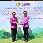 PEA จัดกิจกรรม วันรักต้นไม้ประจำปีของชาติ พ.ศ. 2568