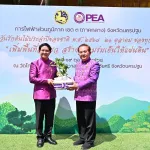 PEA จัดกิจกรรม วันรักต้นไม้ประจำปีของชาติ พ.ศ. 2568