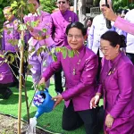 PEA จัดกิจกรรม วันรักต้นไม้ประจำปีของชาติ พ.ศ. 2568