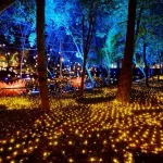 PEA ร่วมงานเทศกาลไฟสุดยิ่งใหญ่ Nasatta Light Festival Winter Illumination 2026 ครั้งที่ 8