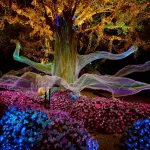 PEA ร่วมงานเทศกาลไฟสุดยิ่งใหญ่ Nasatta Light Festival Winter Illumination 2026 ครั้งที่ 8