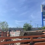 PEA ส่งเรือยนต์ รถบรรทุกลงพื้นที่หาดใหญ่ 