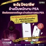 PEA เตือนภัยมิจฉาชีพอ้างตัวเป็นพนักงาน PEA หลอกขอข้อมูลผ่านช่องทางของ PEA