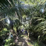 PEA เดินหน้าปราบปรามการใช้ไฟฟ้าผิดกฎหมาย มูลค่าความเสียหายกว่า 5 ล้านบาท