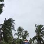 PEA สาขาระโนด เร่งฟื้นฟูระบบจำหน่ายจากเหตุพายุหมุน