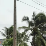 PEA สาขาระโนด เร่งฟื้นฟูระบบจำหน่ายจากเหตุพายุหมุน