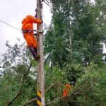 PEA ดำเนินการด้านระบบไฟฟ้าแก่ผู้ได้รับผลกระทบสถานการณ์อุทกภัยในพื้นที่ภาคใต้