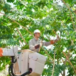 PEA ปรับปรุงระบบไฟฟ้าภายในอาคาร พร้อมมอบอุปกรณ์การเรียนแก่โรงเรียนบ้านนาใหม่ 1 จังหวัดกาญจนบุรี