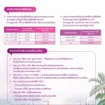 สรุปรายงานประจำปี 2567