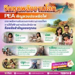 PEA รณรงค์ประชาชนใช้ไฟฟ้าอย่างประหยัดและมีประสิทธิภาพ