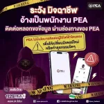 🚨 PEA ชี้แจงกรณีเอกสาร และ LINE ปลอมแอบอ้าง 🚨