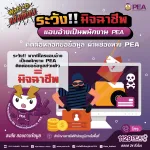🚨 PEA ชี้แจงกรณีเอกสาร และ LINE ปลอมแอบอ้าง 🚨