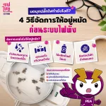 มดบุกปลั๊กไฟทำยังไงดี