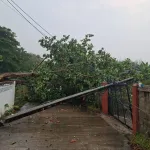 PEA เร่งแก้ไขระบบไฟฟ้า หลังพายุฤดูร้อนพัดถล่มพื้นที่ อ.สบปราบ จ.ลำปาง จ่ายไฟคืนครบทุกครัวเรือน