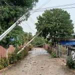 PEA เร่งแก้ไขระบบไฟฟ้า หลังพายุฤดูร้อนพัดถล่มพื้นที่ อ.สบปราบ จ.ลำปาง จ่ายไฟคืนครบทุกครัวเรือน