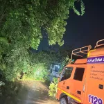 PEA เร่งกู้คืนระบบไฟฟ้า อ.แม่สาย หลังพายุฤดูร้อนพัดถล่ม