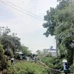 PEA เร่งกู้คืนระบบไฟฟ้า อ.แม่สาย หลังพายุฤดูร้อนพัดถล่ม