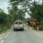 PEA เร่งฟื้นฟูระบบจำหน่ายไฟฟ้า อ.น้ำโสม และ อ.นายูง จ.อุดรธานี หลังพายุฤดูร้อนกระทบวงกว้าง