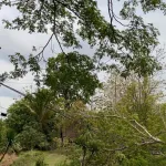 PEA เร่งฟื้นฟูระบบจำหน่ายไฟฟ้า อ.น้ำโสม และ อ.นายูง จ.อุดรธานี หลังพายุฤดูร้อนกระทบวงกว้าง