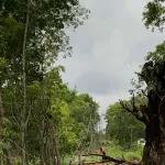 PEA เร่งฟื้นฟูระบบจำหน่ายไฟฟ้า อ.น้ำโสม และ อ.นายูง จ.อุดรธานี หลังพายุฤดูร้อนกระทบวงกว้าง