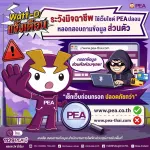 📢 Watt-D แจ้งเตือน ..... ️‍⚡️⚡️⚡️ 👉ระวัง !!! มิจฉาชีพ ใช้เว็บไซต์ PEA ปลอม หลอกสอบถามข้อมูลส่วนตัว 👈