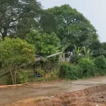 PEA เร่งแก้ไขระบบไฟฟ้าหลังพายุและฝนตกหนักในพื้นที่อำเภอบึงสามัคคี จังหวัดกำแพงเพชร