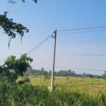 PEA เร่งฟื้นฟูระบบจำหน่ายไฟฟ้า หลังพายุฤดูร้อนกระทบหลายอำเภอในจังหวัดอุทัยธานี