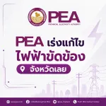 PEA เร่งกู้คืนระบบจำหน่ายไฟฟ้า หลังฝนตกหนักสะสมทำดินทรุดตัว เสาไฟฟ้าล้มในพื้นที่อำเภอภูเรือ จังหวัดเลย