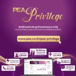 PEA Privilege มอบสิทธิพิเศษสำหรับลูกค้าองค์กรและภาครัฐ ครบจบในที่เดียวเพื่อการบริหารจัดการการใช้ไฟฟ้าอย่างมีประสิทธิภาพ