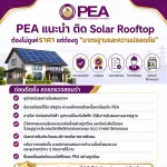 Pea solar