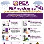 PEA แนะประชาชนดูแลความปลอดภัยด้านไฟฟ้าช่วงฤดูฝน