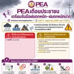 Pea เตือน