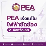 PEA เร่งกู้คืนระบบไฟฟ้า หลังฝนตกหนักทำดินสไลด์ เสาไฟฟ้าหักโค่นในพื้นที่ตำบลกกทอง อำเภอเมืองเลย จังหวัดเลย