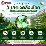 5 มิถุนายน วันสิ่งแวดล้อมโลก 🌱🌏