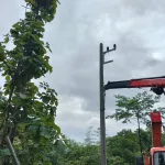 PEA เร่งแก้ไขระบบไฟฟ้าหลังต้นไม้ใหญ่โค่นล้มทับระบบจำหน่ายไฟฟ้า จ.แม่ฮ่องสอน จ่ายไฟคืนได้ตามปกติ