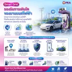 Smartgrid